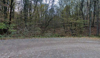 Mali Obljaj, Šaševa cemetery