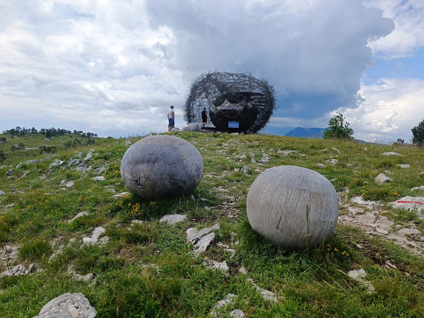 Izvaljeno jaje u gnijezdu
