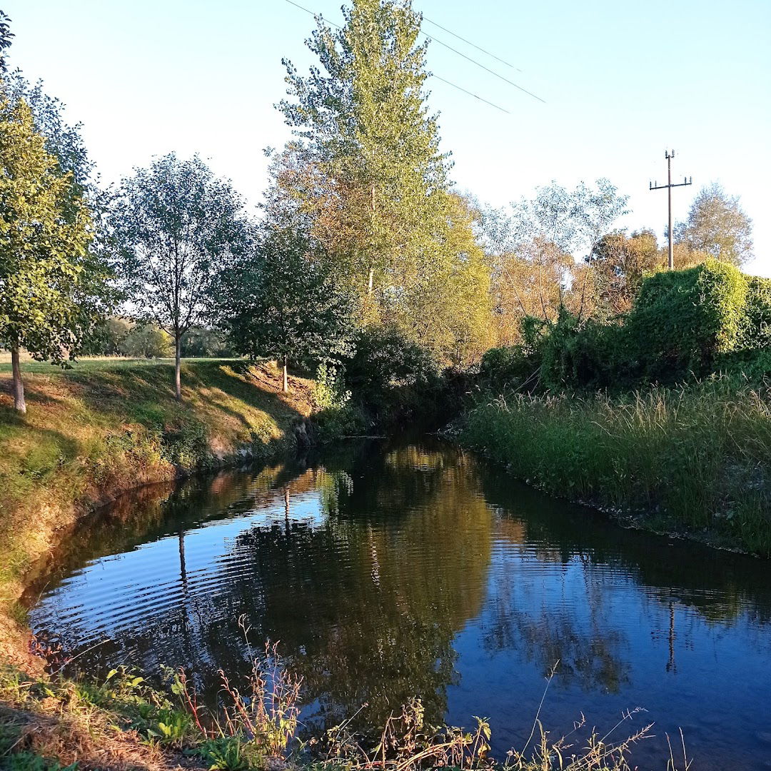 Plaža kod Belovog jasena