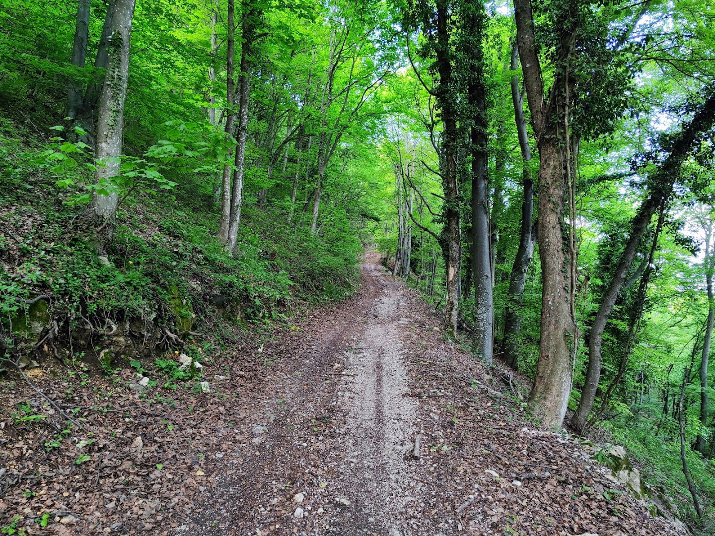 Plesivica Piramida Trail