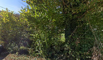 Područna škola Smerovišće, OŠ Samobor