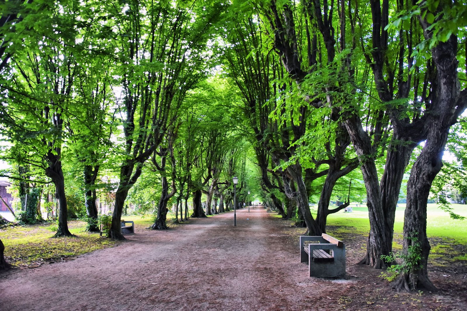 Bistrica park