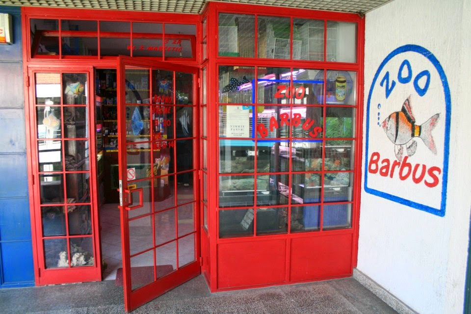 Akvarijumi i ribice za akvarijum - ZOO BARBUS