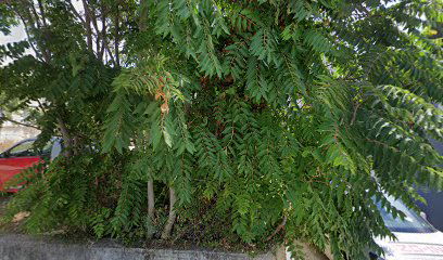 Stunning Red Cottage with a Pool & Secure
