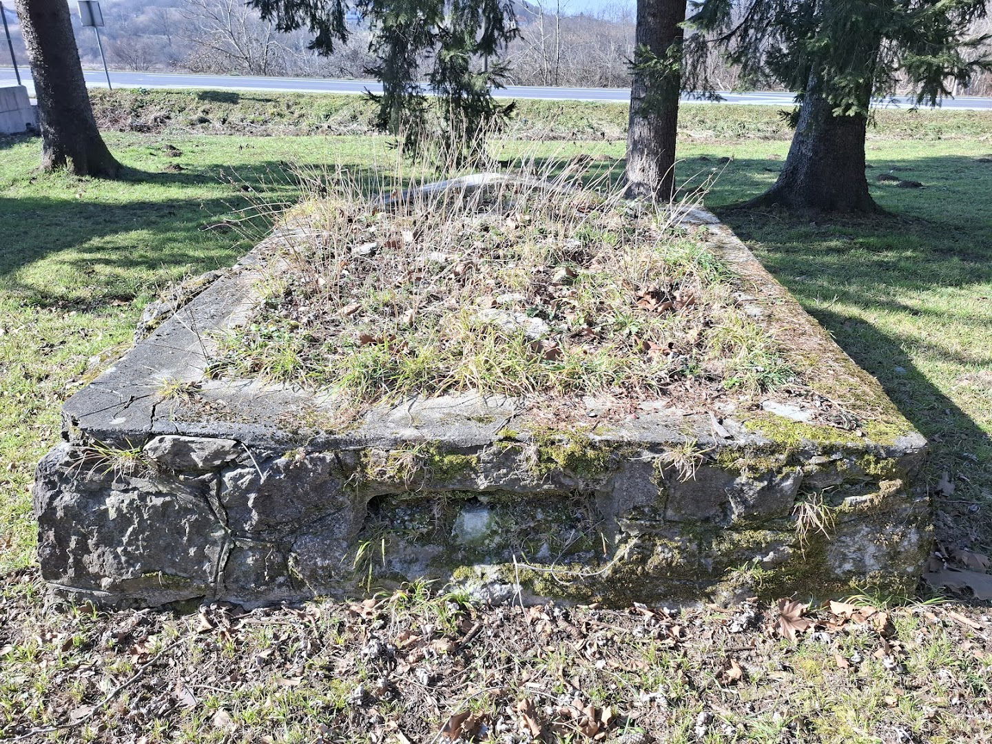 Partizanska grobnica