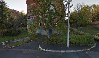 Auto-Taxi Rade Prodanovic Preduzetnik Beograd (Rakovica)