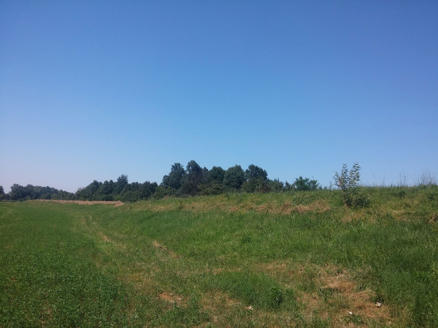 Београд Пут