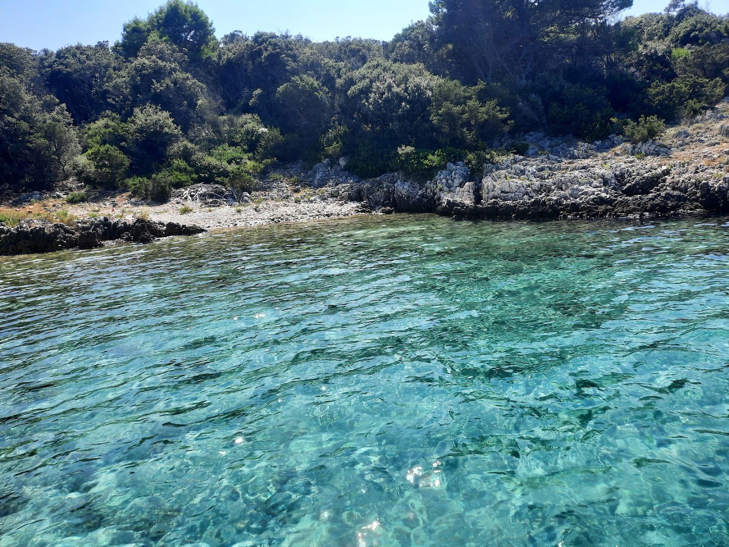 Brgulje Zaljev Lipić