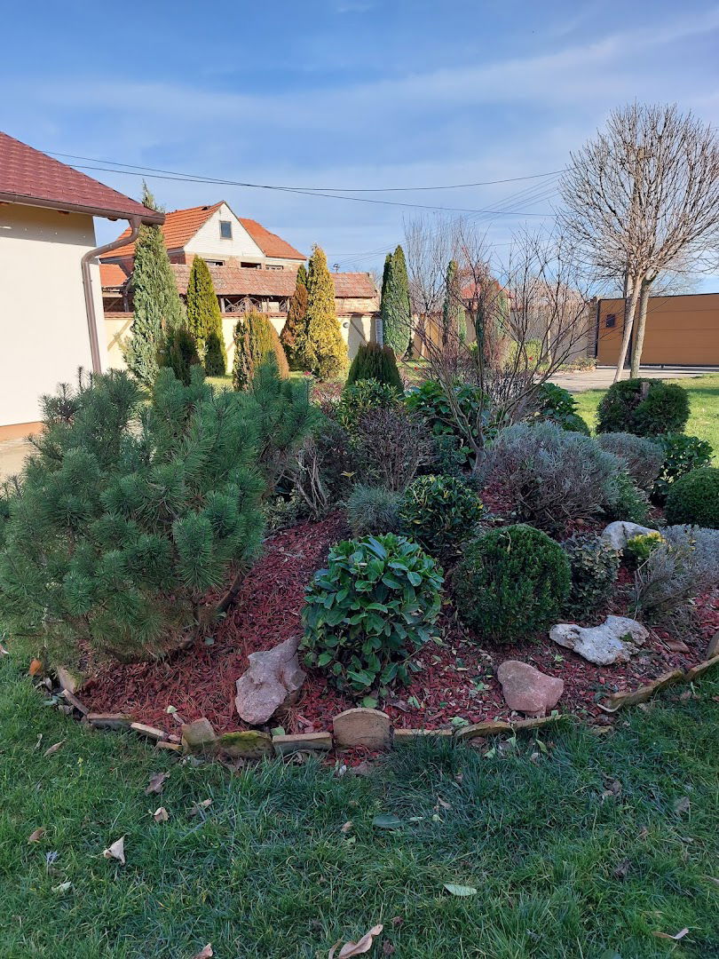 Rasadnik Dendroflora