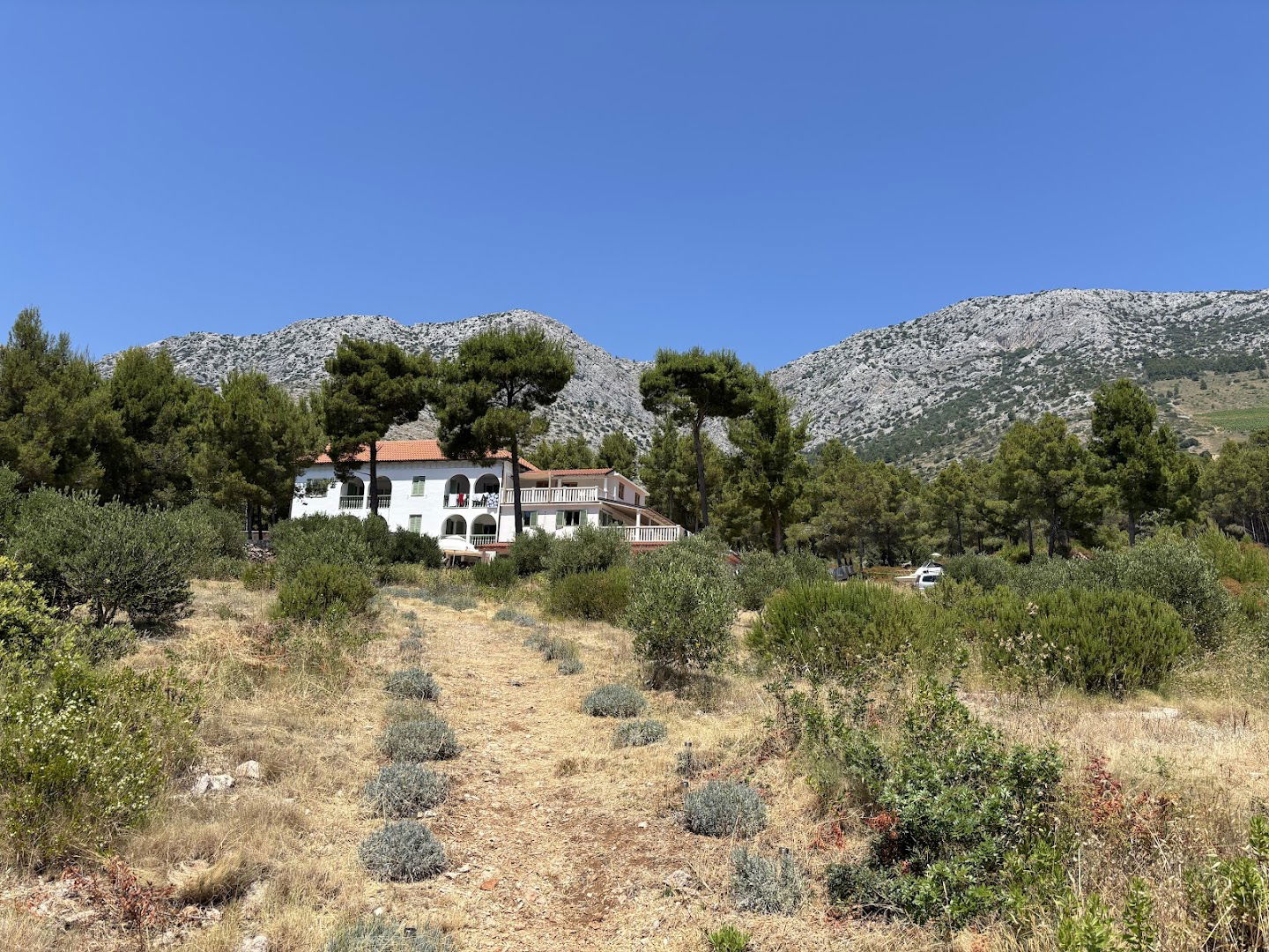 Mandalina apartments