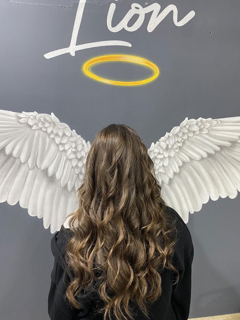 Frizerski salon Lion / Hairdresser Lion