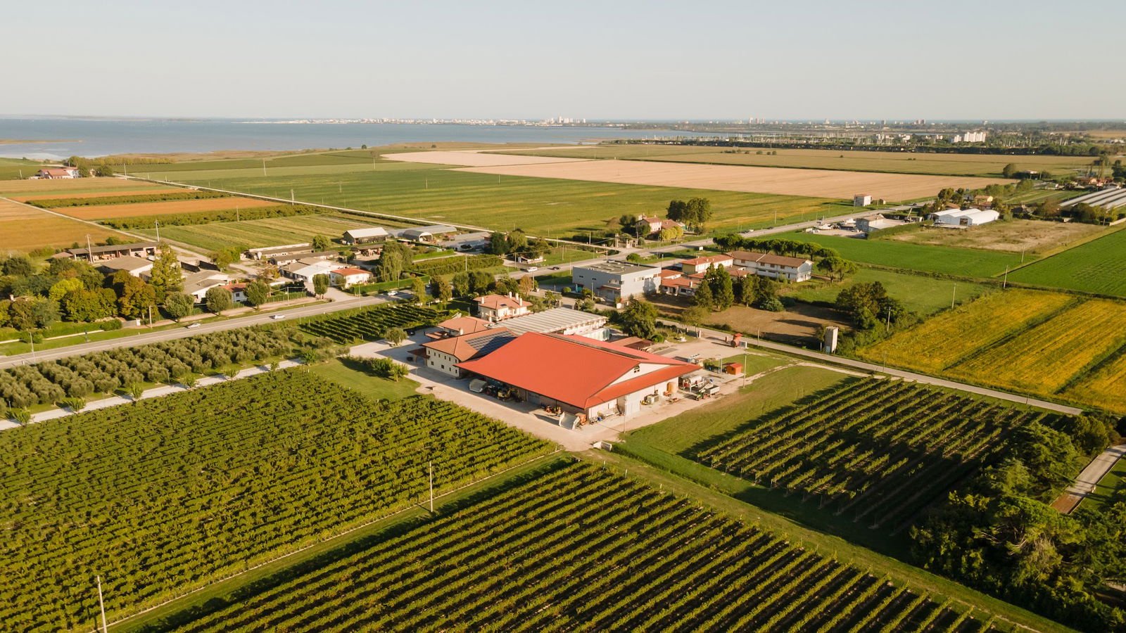 Lorenzonetto Cav. Guido Winery & SPARKLING WINES