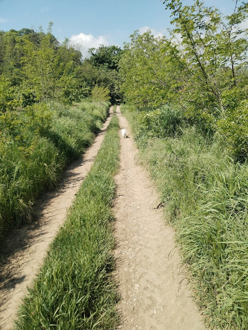 Hiking Trail Vinča-Ritopek