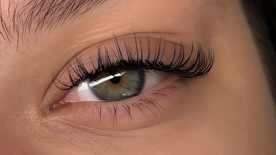 Miss Lash - Trepavice Beograd