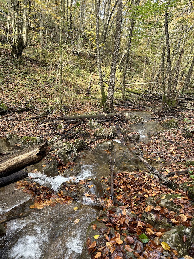 Izvor potoka Lučica