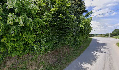 Gornje Zdelice cemetery