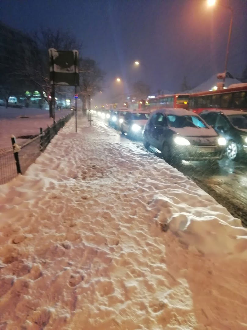Pilota Mihajla Petrovića