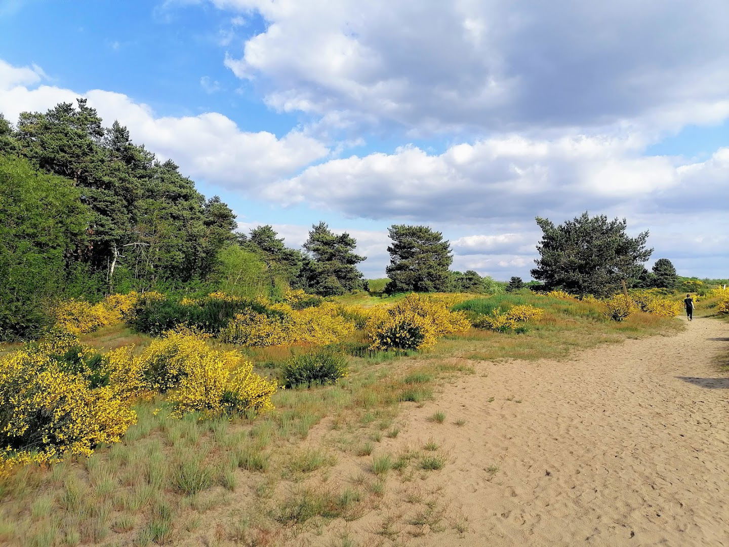 Đurđevački Pijesci