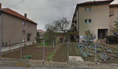 Vladimira Dvornikovića