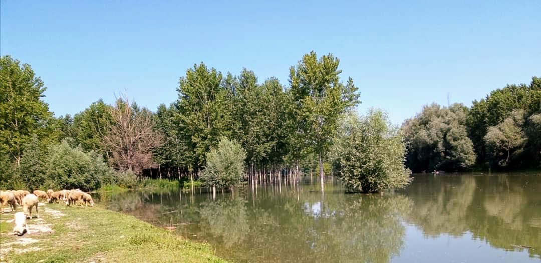 Гранични прелаз Нештин