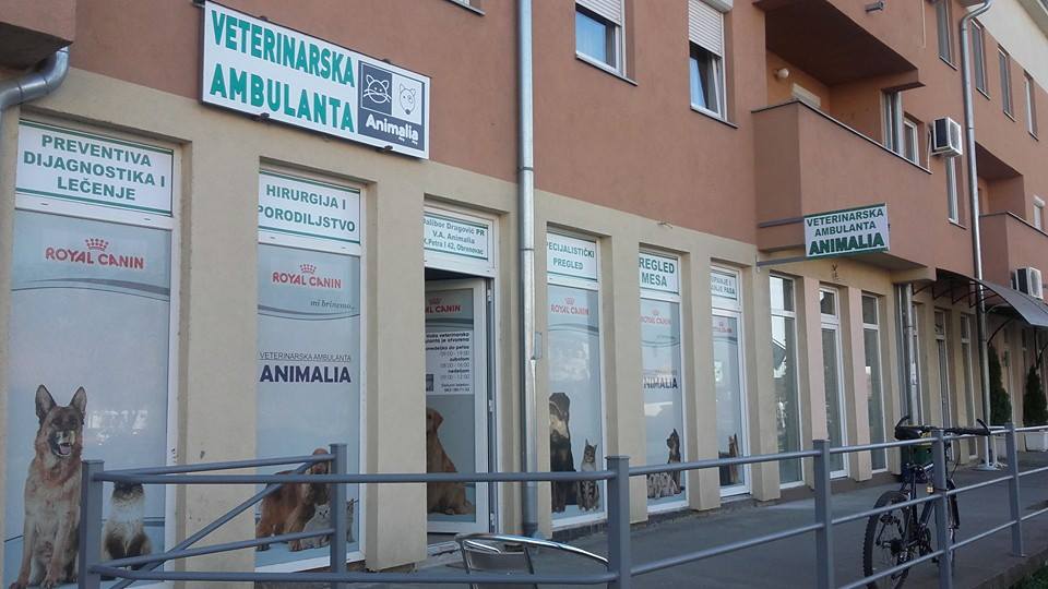 Veterinarska ambulanta Animalia, PR Dalibor Dragović