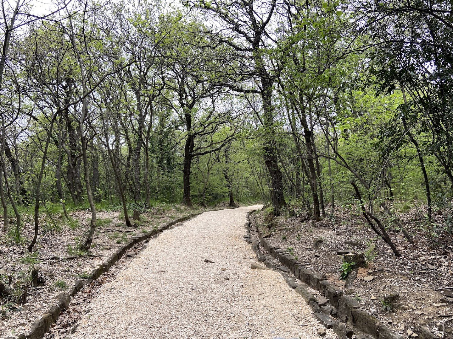 Parco Di Villa Giulia