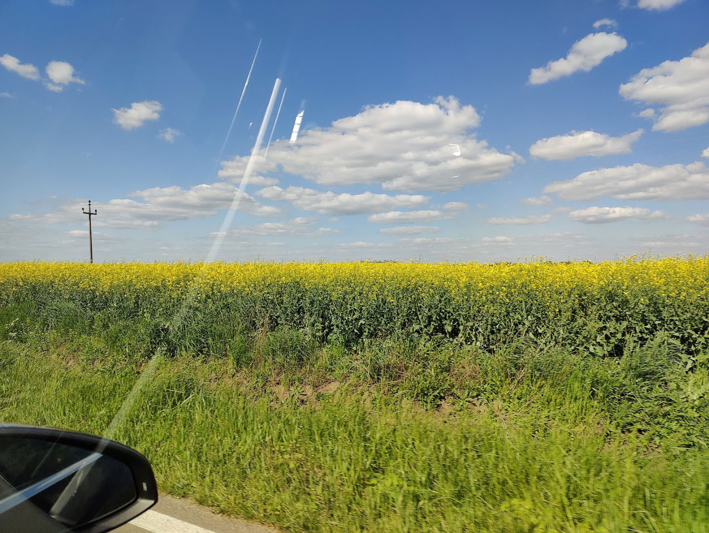 Војводинашуме