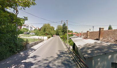 Setaliste cele evrope