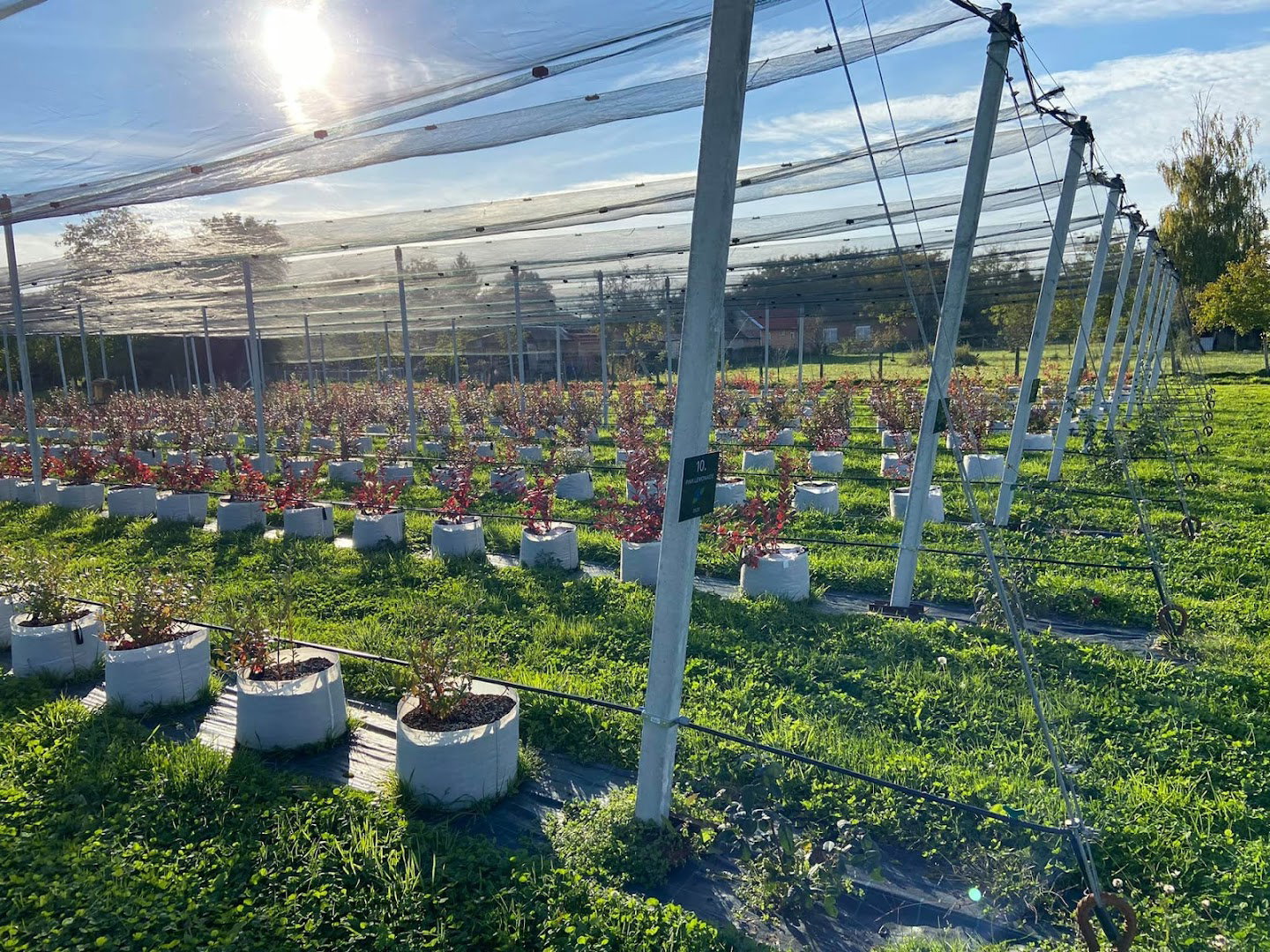 OPG Juranić Branimir