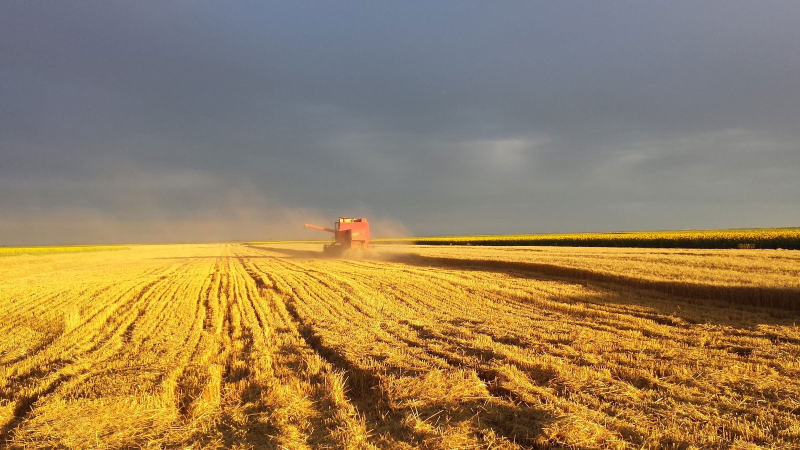 Zemljoradnička zadruga NARCIS Torak