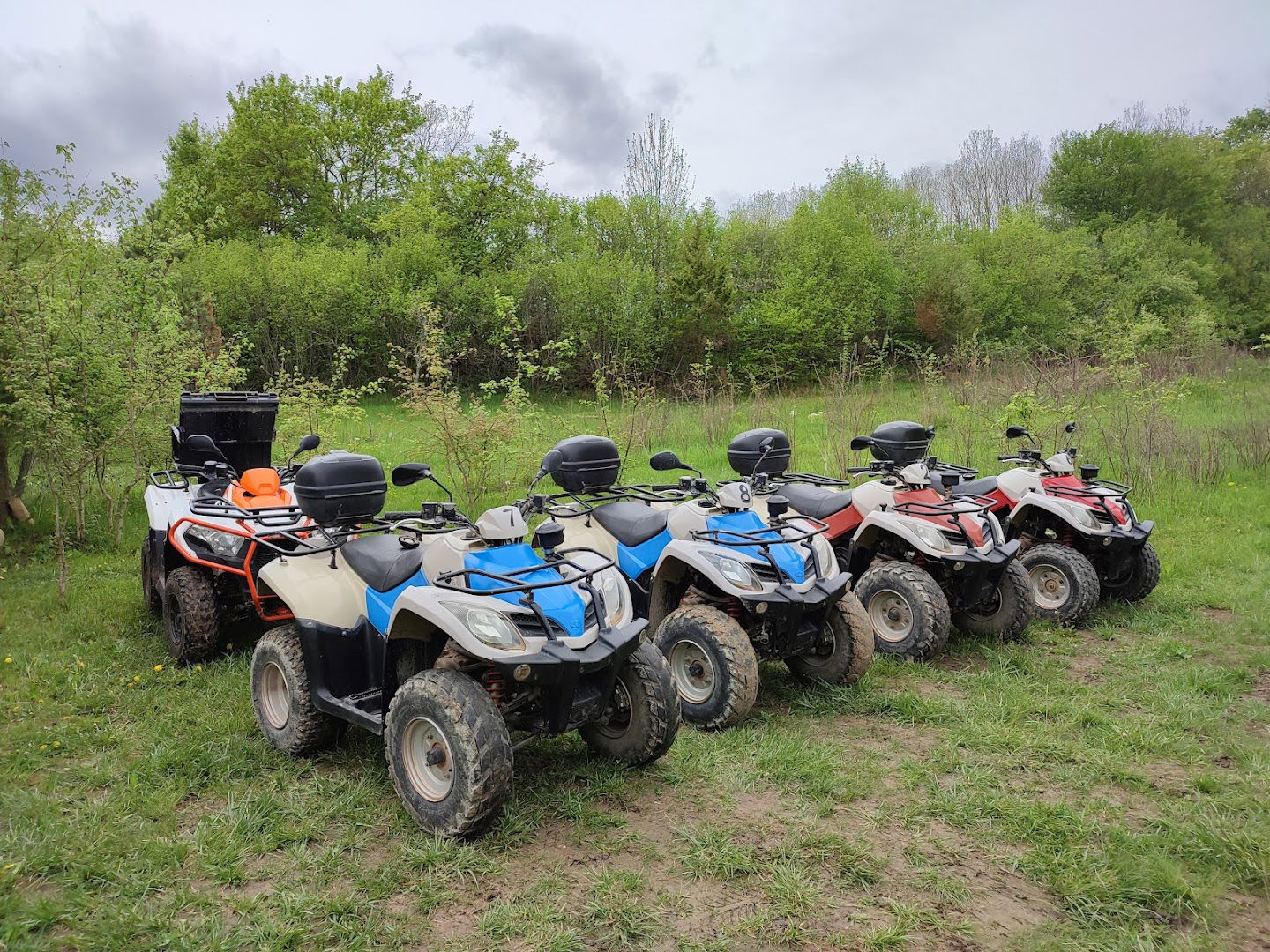 Central Istria Quad Tours