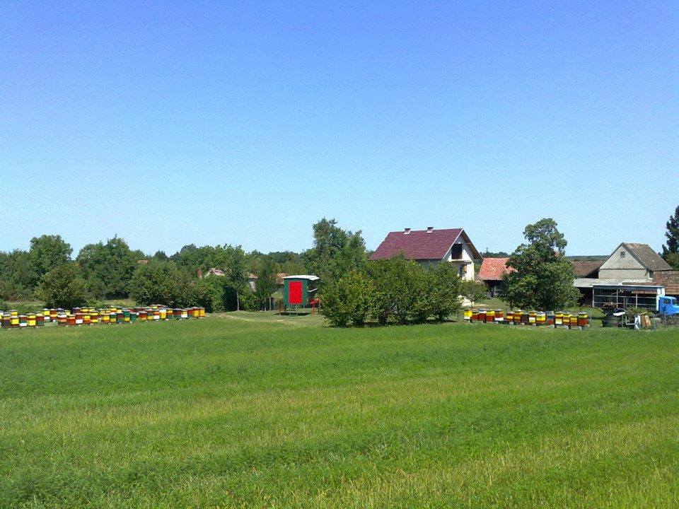 Pčelarstvo Pavković