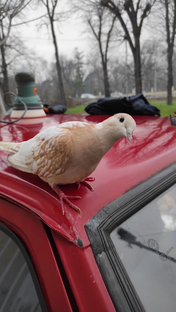 Streljačka družina „Pančevo 1813”