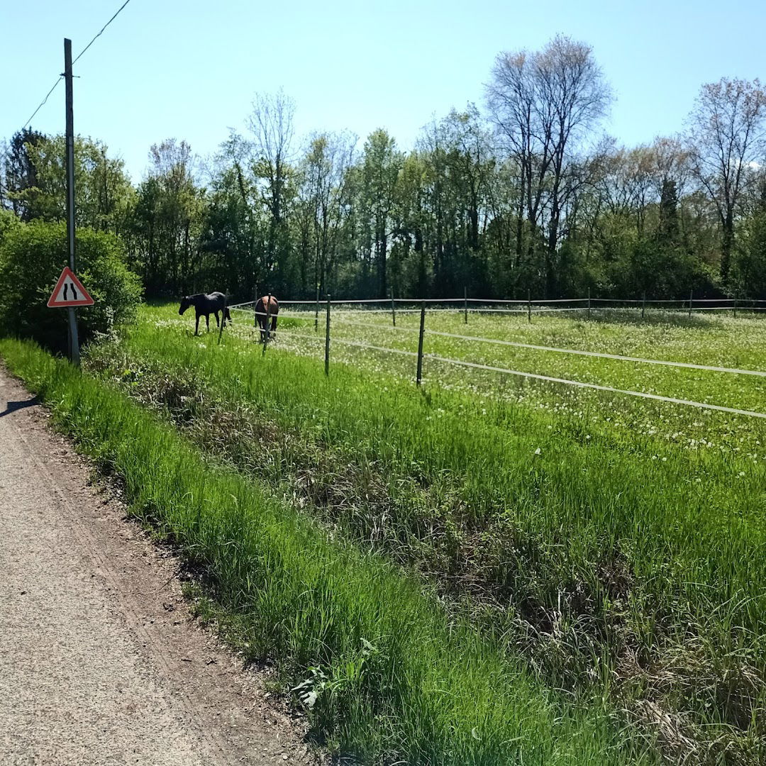 maneggio casali birri