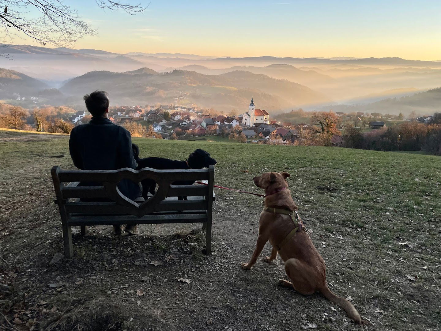 Klopca ljubezni Vače