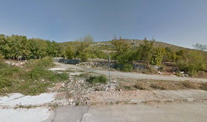 BOGDANOVIĆI - BILJACI 2