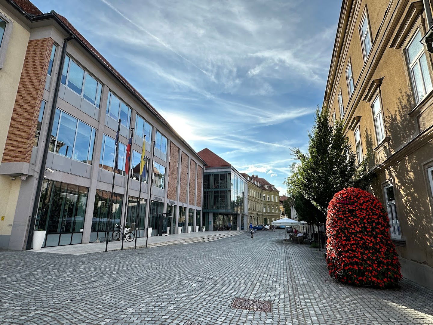 Celje Central Library