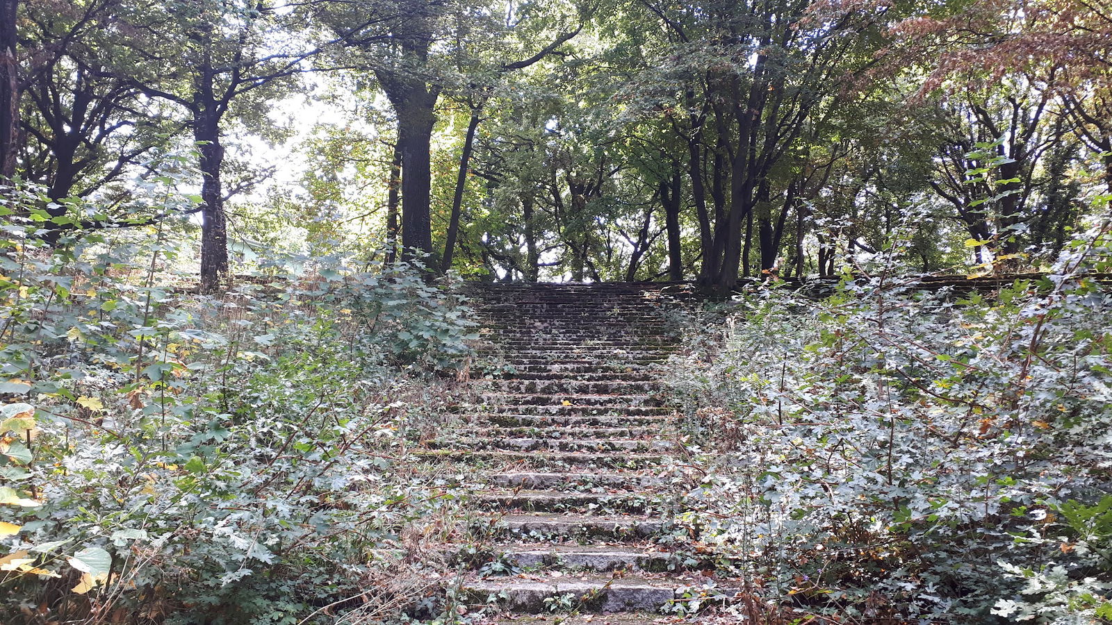 Амфитеатар