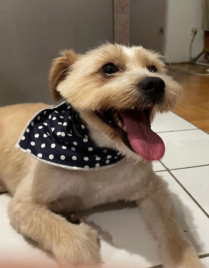 Veterinarska stanica I ljekarna