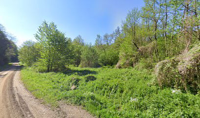 Smrdljivac - izvor pitke vode