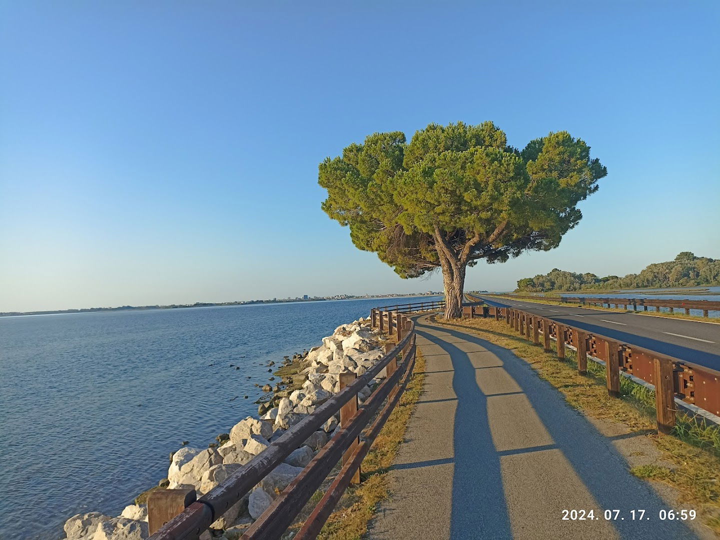 Welcome to Grado Tree