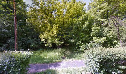 Park Patrijarha Pavla