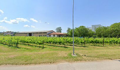 Agriturismo Al Pozzo di Lorenzutti