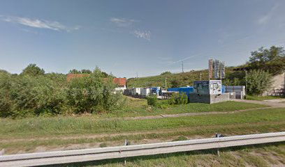 Festina Lente Audens