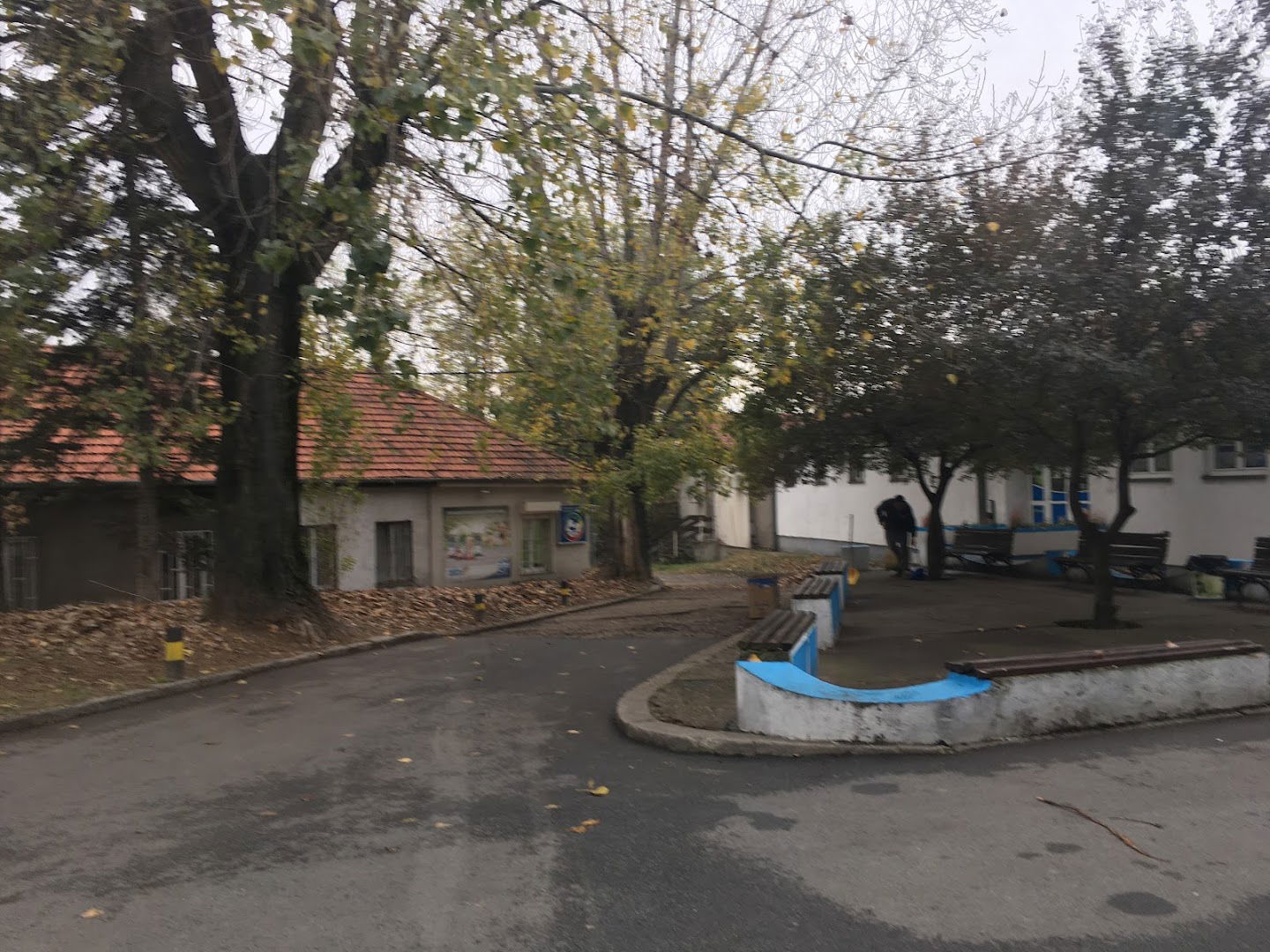 Univerzitetske klinike za male životinje