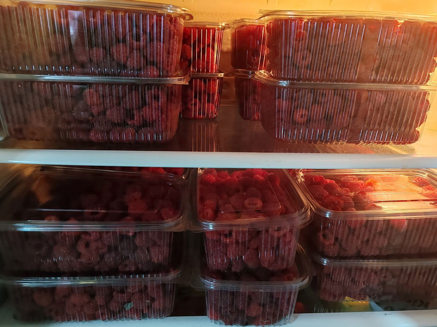 Manić gazdinstvo Jeremić