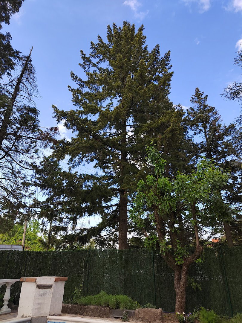 Kuća za odmor sa bazenom Helena