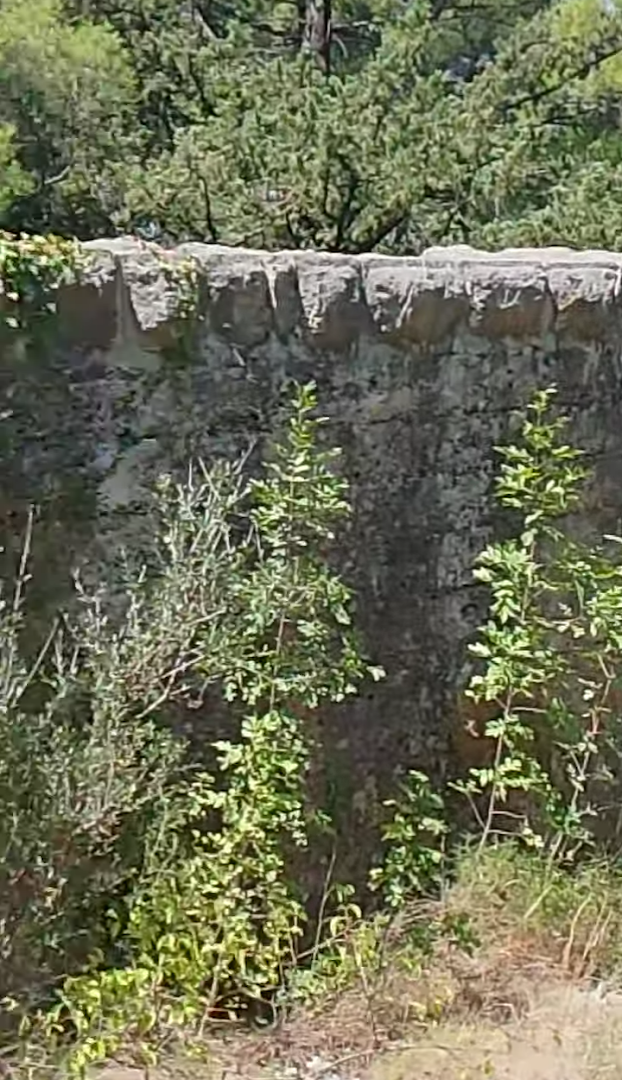 Historical wall , Mario 2