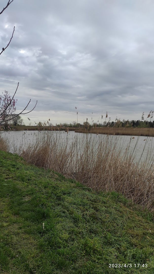 Jezero-Ribnjak Velika Greda