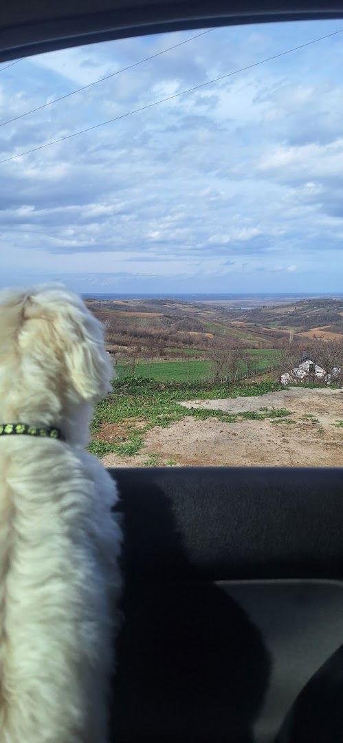 Фрушкогорски Мир